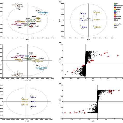 Principal Component Analysis Pca And Orthogonal Partial Least Download Scientific Diagram