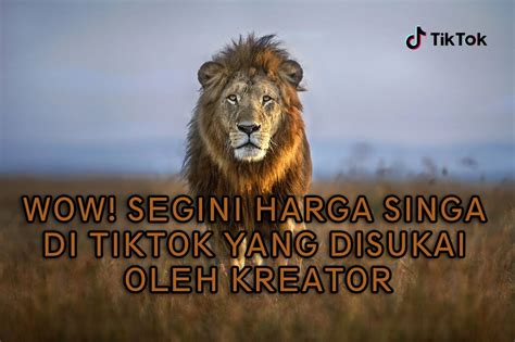 Wow Segini Harga Singa Di Tiktok Yang Disukai Oleh Kreator Litetekno