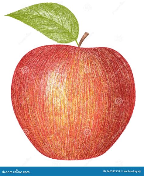 Manzana Dibujo