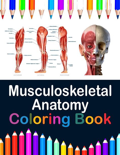 Musculoskeletal Anatomy Coloring Book Now You Can Learn And Master The Muscular System With