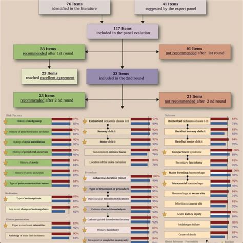 Flow Chart Of The Modified Delphi Expert Consensus Process Of 117