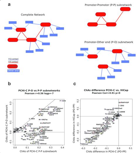 Comparing The Assortativity Of Promoterpromoter Pp And Download Scientific Diagram