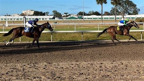 The Role Of Jockeys In Horse Racing