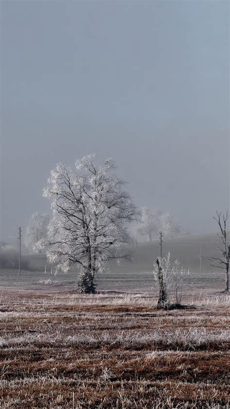 Winter Rural Landscape Wallpapers - Wallpaper Cave