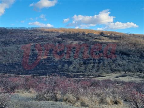 Video Un Incendiu Puternic A Cuprins De Hectare De Vegeta Ie N