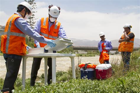 C Mo Reducir El Impacto Ambiental En La Organizaci N De Excursiones