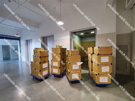 Sex Toy Warehouse Tour Explore Our Expert Operations Wholesale Adult Toys Net