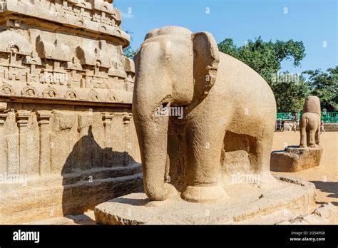 Pancha Rathas Five Rathas Of Mamallapuram An Unesco World Heritage