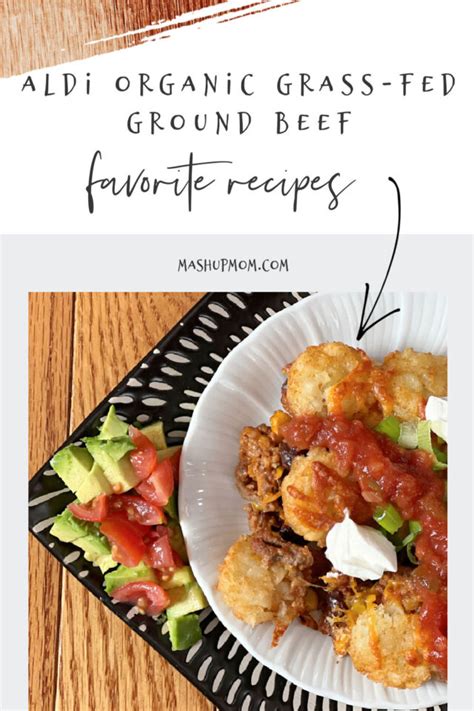 Five More Favorite Aldi Organic Grass Fed Ground Beef Recipes