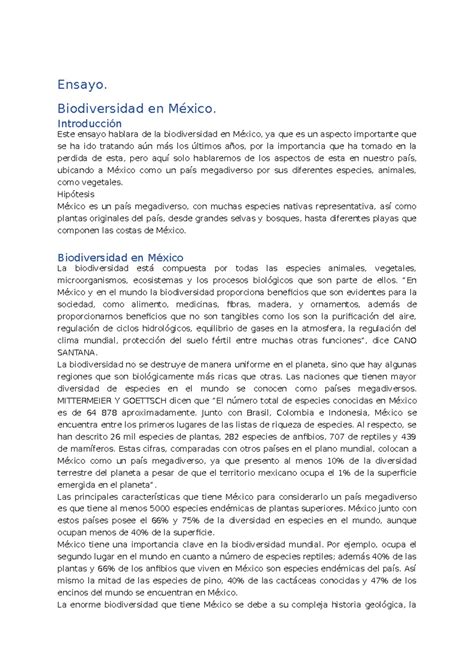 Partes De La Infografía 4