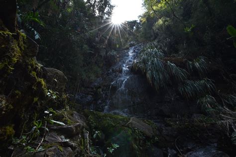 Biotopo Del Quetzal Una Riqueza Natural En Guatemala Agencia