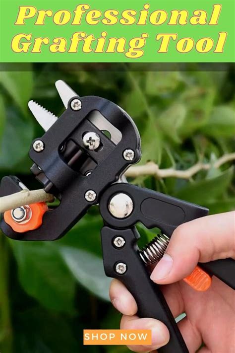 Garden Projects Garden Tools Grafting Plants Pruning Tools Plant Hacks Garden Harvest