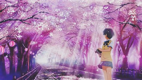 Hình ảnh hoa Anh Đào anime đẹp, lãng mạn, dễ thương nhất