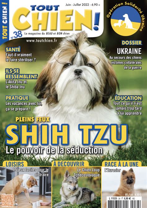 Le Magazine Tout Chien Numero Tout Chien Le Magazine