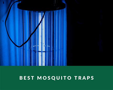 Best Mosquito Traps - Zero Pest NG