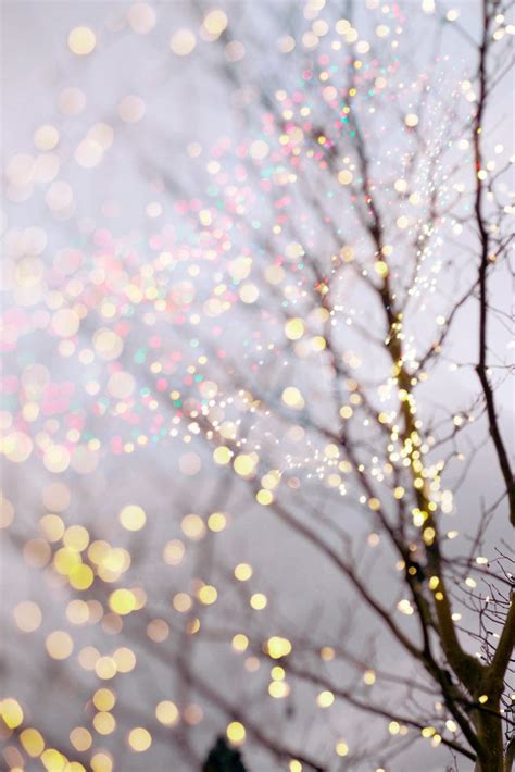 Tree Lights And Winter Wallpapers - Wallpaper Cave