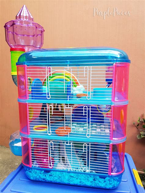 Hamster Cage Setup Junkrats Hamsterdam And Hamster Bin Playground