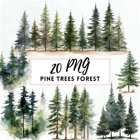 Forest Tree Watercolor Forest Clipart, Pine Tree PNG , Woodland Tree, Forest Winter Landscape ...