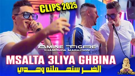 Cheb Amine Tigre Feat Hamouda Maradon Msalta Liya Ghbina