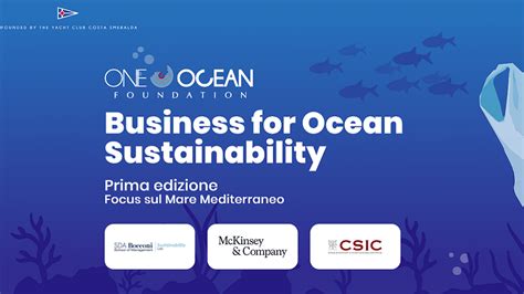 Barabino And Partners Al Fianco Di One Ocean Foundation Nella Comunicazione Del Report Business