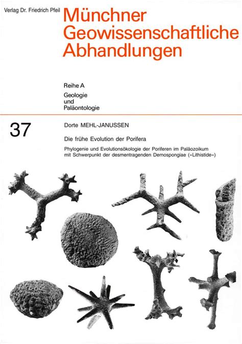 Die Frühe Evolution Der Porifera Phylogenie Und Evolutionsökolgie Der