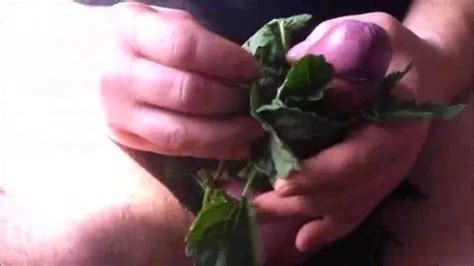 Futlick 4 Gay Man Porn XHamster