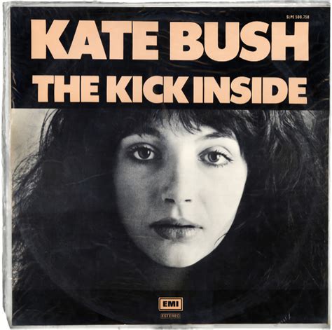 The Kick Inside Kate Bush Encyclopedia