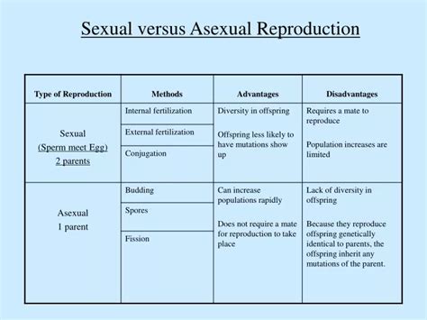 Ppt Sexual Versus Asexual Reproduction Powerpoint Presentation Free Download Id9285671