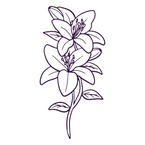 Simple Line Art Flowers Png And Svg Design For T Shirts