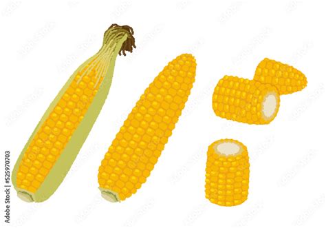 stock adobe stock