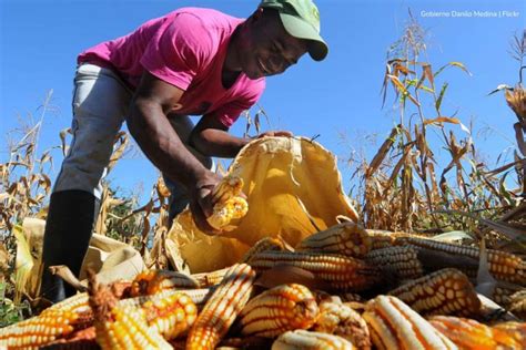 MinAgricultura anuncia recuperación de la infraestructura del Idema