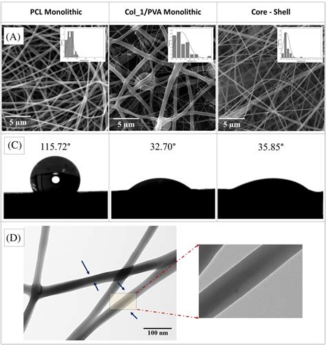 Surface Evaluation Of Coreshell Electrospun Fibers SF 0 2 And Their