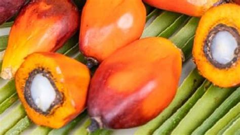 The Health Benefits Of Monounsaturated Fatty Acids In Palm Oil