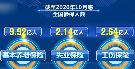 【回望“十三五”：我的收获与转变】我国建立覆盖139亿人的全民参保数据库新闻频道央视网