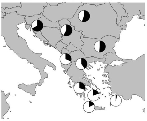 New Study Unravels the Genetic Tapestry of the Balkans: From Roman ...