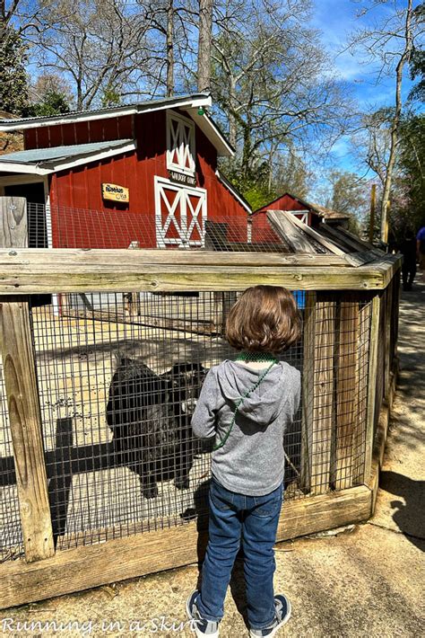 Greenville SC Zoo Visitor's Guide « Running in a Skirt