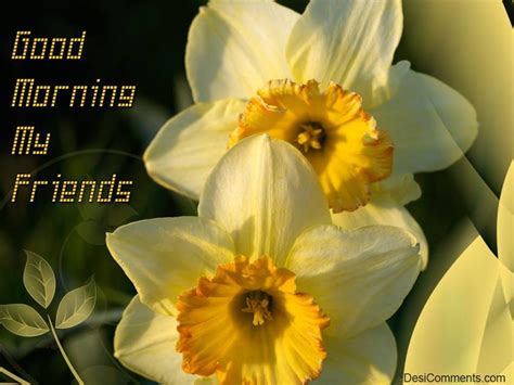 Morning With Yellow Flowers Good Morning Wishes And Images