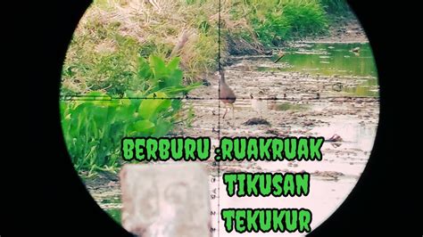 Memaksakan Berburu Pas Lagi Galau Begini Jadinya Berbururuakruak