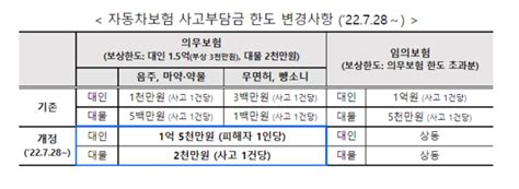 무면허‧음주운전 등 보험혜택 없다운전자 최대 2억5000만원 부담