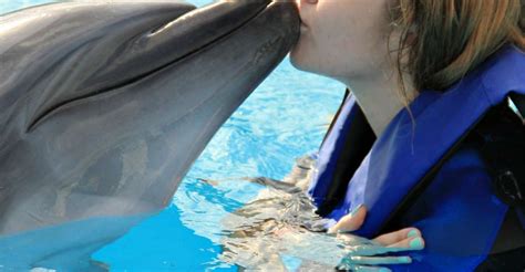 Bali Full Day Bali Dolphin Tour