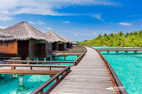 Отель Sheraton Maldives Full Moon Resort and Spa Мальдивы Описание