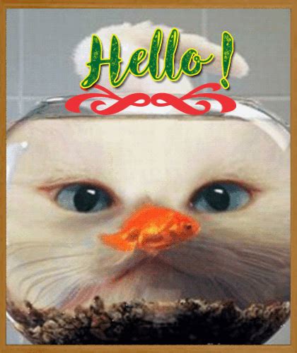 My Cute Hi Hello Ecard Free Hi Hello Ecards Greeting Cards 123