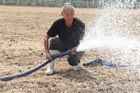 农作物解“渴”不容缓！兰山区科学调水灌溉88万亩农田沂河农业抗旱