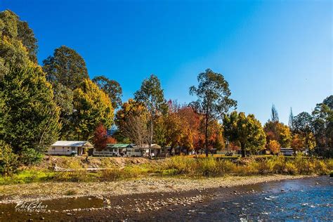 Discovery Parks Mount Buffalo Porepunkah 0条旅客点评与比价