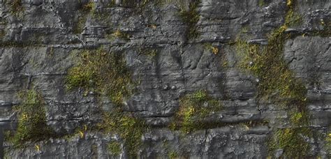 Mossy Rock Texture Seamless