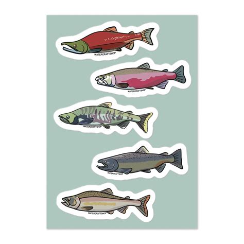 Salmon Sticker Pack Etsy