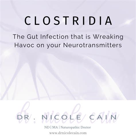 Clostridia: The Gut Infection Wreaking Havoc On Your Neurotransmitters