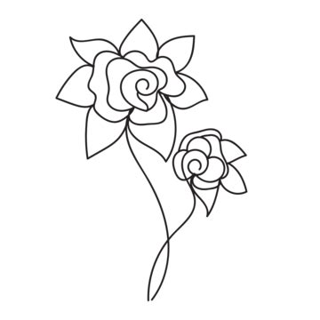 Rose Line Art Vector, Rose Liner, Rose Illustation, Rose PNG and Vector with Transparent ...