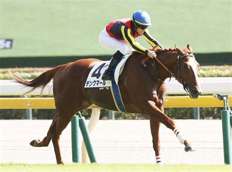 ＜東京5r＞新馬戦を制したデンクマール（撮影・村上 大輔） ― スポニチ Sponichi Annex ギャンブル