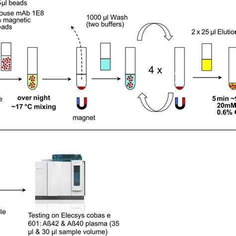 Schematic Representation Of The Pre Analytical Process Before Automated